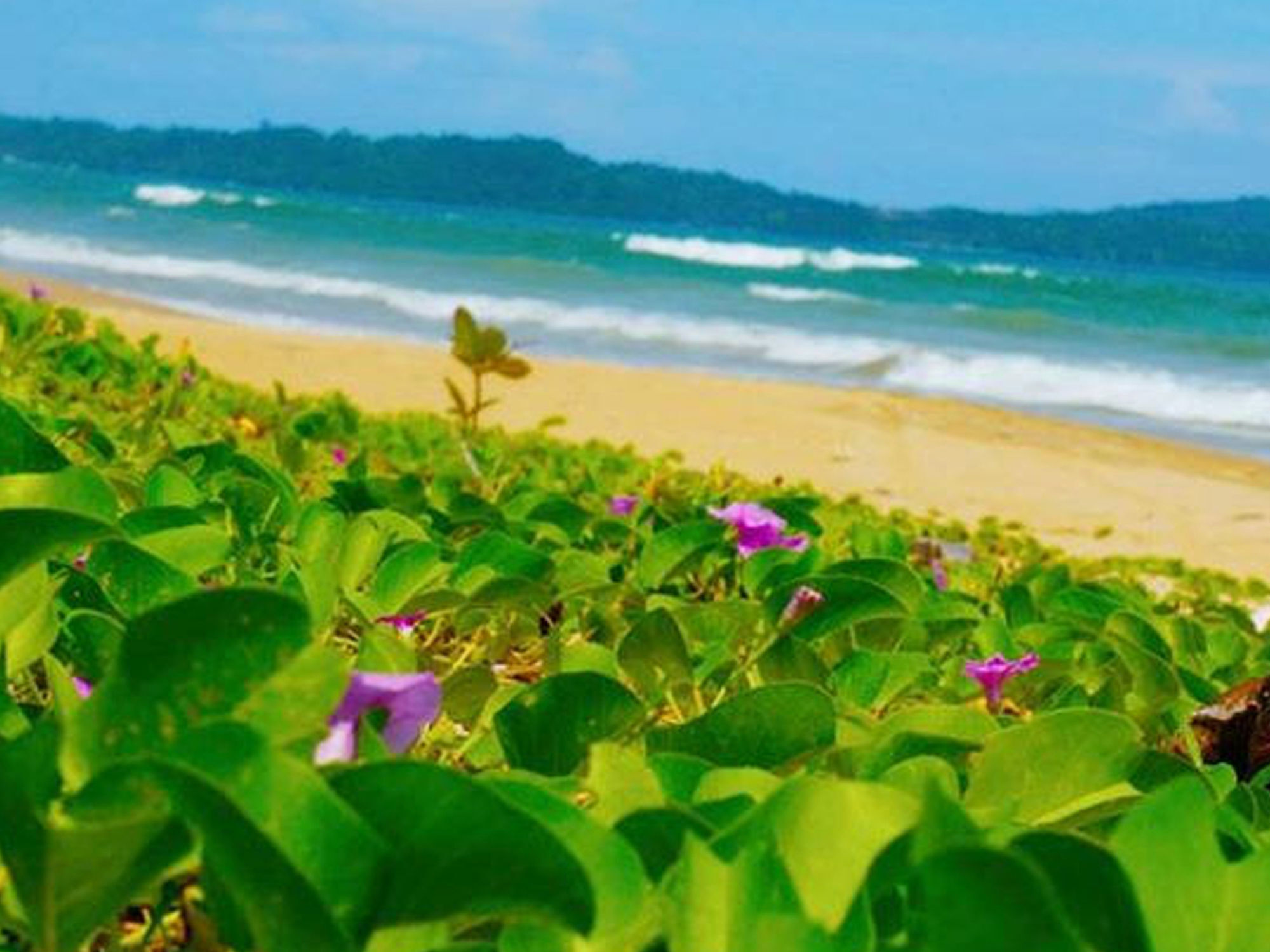 Jurisu Resort San Vicente  Exteriér fotografie
